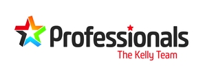 Professionals The Kelly Team v1
